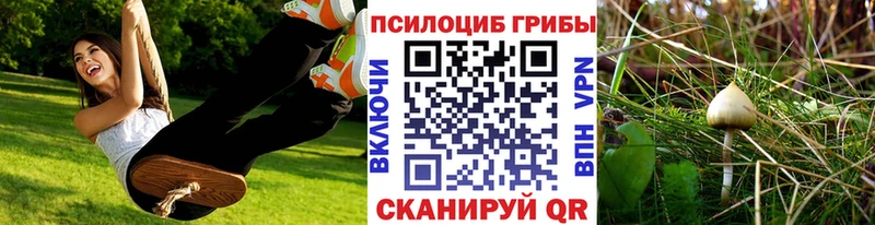 ОМГ ОМГ как войти  Сорск  shop как зайти  наркотики  Галлюциногенные грибы Cubensis 